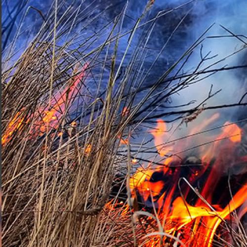 Bushfire erupts on northern Gold Coast as firie's contain Logan blazes