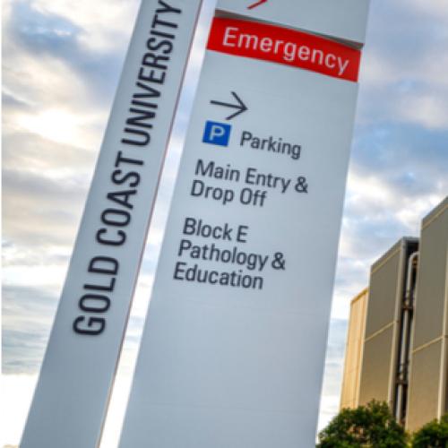 Woman fighting for life in Gold Coast hospital after being hit by alleged drunk driver