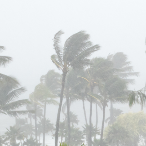 Jasper downgraded after wreaking havoc across far north Qld