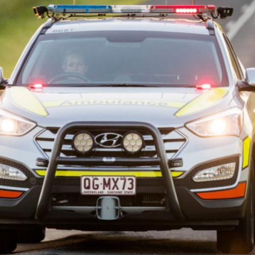 Man injured after being hit by falling tree in Gold Coast hinterland