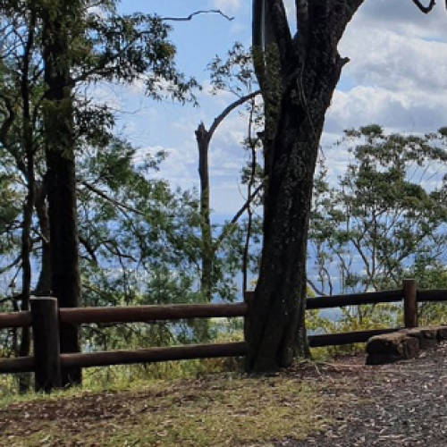 Woman rescued after fall from Gold Coast hinterland lookout