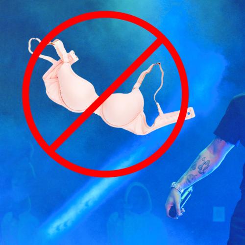 Drake Asks Fans To "Keep Bras On" Because His Son Was At The Show