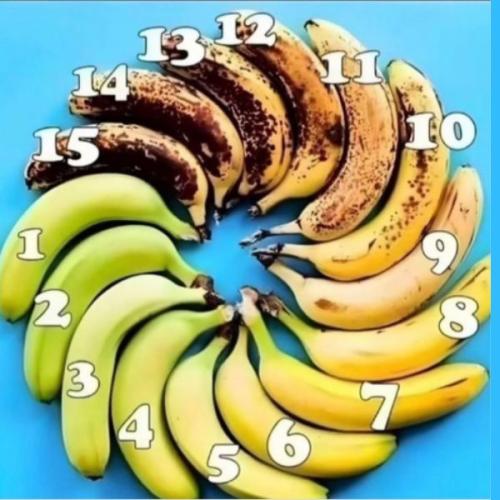 Internet Goes Bananas Over Ripeness Debate. What Number Are You?