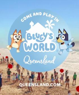 Bluey and Irwin Boost Queensland Tourism!