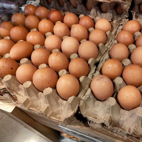 Coles introduces buying limit on eggs after bird flu outbreak