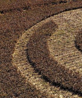 Mysterious Crop Circles Appear in Rural Australia