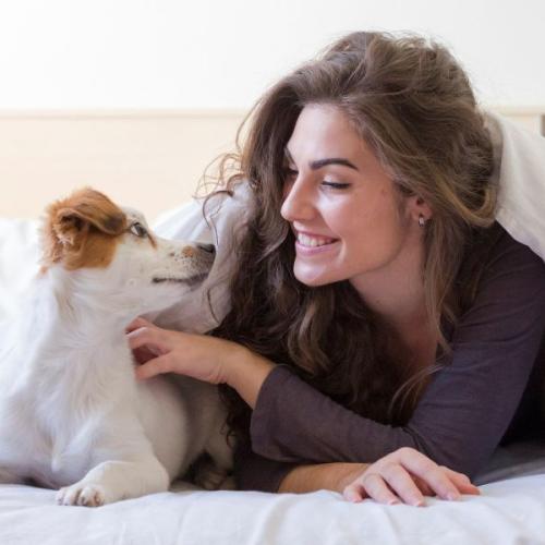 Study Reveals Nearly 50% of Aussie Pet Owners Share Their Bed with Their Pets