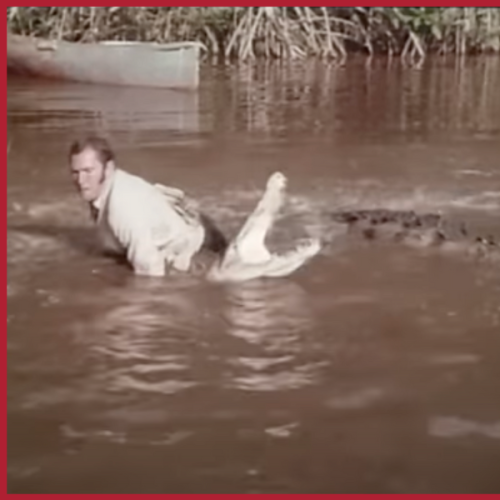 Crazy Clip Shows James Bond Stuntman Attempting to Skip on Crocodiles