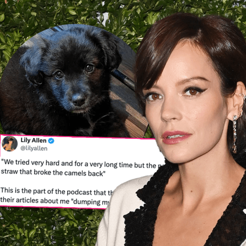 Lily Allen Responds to Backlash Over Controversial Decision to Return Her Dog to the Shelter