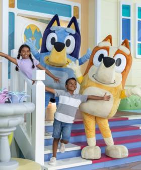 Sneak Peek Of Bluey’s World In Brisbane